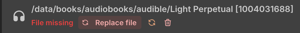 A row on the books page showing a book with a missing file, and a button to replace the file